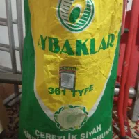 بذر آفتابگردان آیبکلر