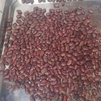 لوبیا چیتی ازبک  کیلویی ۱۶۰