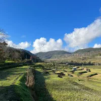 فروش زمین باغی کشاورزی لفور روستای کالیکلا|فروش زمین و ملک کلنگی|آلاشت, |دیوار