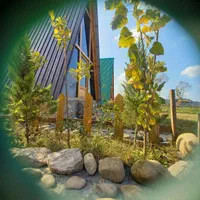 اجاره روزانه/هفتگی/کلبهای جنگلی لب رودخونه ۴۵ متری|اجارهٔ کوتاه‌مدت آپارتمان و سوئیت|بابل, |دیوار