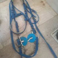 دهنه