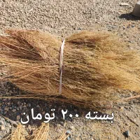 جارو باغی دستی|لوازم نظافت|لردگان, |دیوار