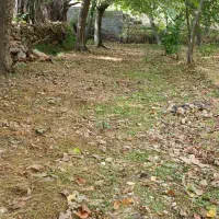 سویت اجاره ای نسمه
