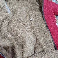 کاپشن بچگانه|کفش و لباس بچه|اشتهارد, |دیوار