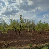 باغ ۱۰۰۰متری با یک ساعت آب چاه