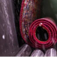 قالیشویی تهرانپارس احسان زهدی استخر حکیمیه|خدمات نظافت|تهران, تهرانپارس جنوبی|دیوار