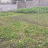 زمین مسکونی در جاه خوب از دریا شهر انزلی ده دقیقه