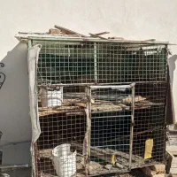 قفسه مرغ|لوازم جانبی حیوانات|امیرآباد, |دیوار