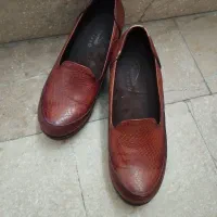 سایز۳۷