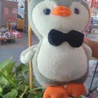 پنگوئن گوگولی|کلکسیون و سرگرمی|کرج, اصفهانی‌ها|دیوار