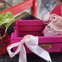 پک کادو و تولد و مناسبتی|صنایع دستی و سایر لوازم تزئینی|فسا, |دیوار