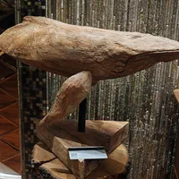 مجسمه نهنگ از چوب گردو کار استادکار اصفهانی|مجسمه، تندیس، ماکت|قزوین, |دیوار