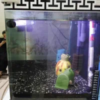 اکواریوم|ماهی|تهران, فلسطین (میدان انقلاب)|دیوار