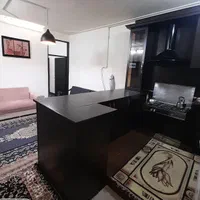 منزل مبله دربست مرکز شهر بلوار مدرس|اجارهٔ کوتاه‌مدت آپارتمان و سوئیت|شیراز, شهرک پرواز|دیوار