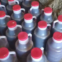 شیر انگور امسال