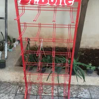 تجهیزات و کسب وکار|کتابخانه، شلف، قفسه‌های دیواری|خرم‌آباد, |دیوار