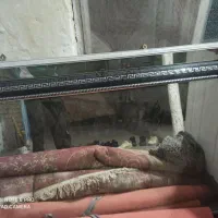 کمد|جاکفشی، کمد، دراور|گنبد کاووس, |دیوار