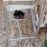 ابگرمکن چهارپایه|آبگرمکن، پکیج، شوفاژ|نجف‌آباد, صالح آباد|دیوار