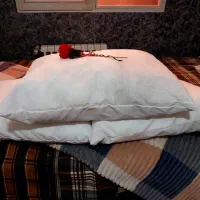 بالشت نرم و پنبه ایی