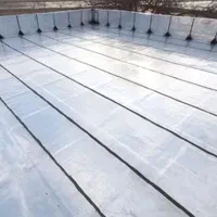 لکه گیری رفع نم پخش ونصب ایزوگام|خدمات پیشه و مهارت|نیشابور, ناسیونال|دیوار