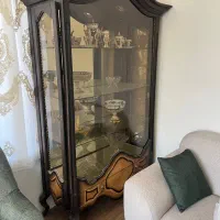 ویترین در حد نو