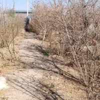 باغ چهاردیواری|فروش زمین و ملک کلنگی|برخوار, |دیوار