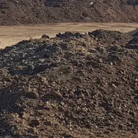 کودمرغ فله تناژ بالا تنی ۲م