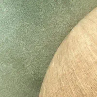 همخونه میشم