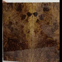 تخته نرد.ریشه ون درجه یک