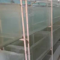 اکواریوم یک متری|ماهی|ملایر, |دیوار