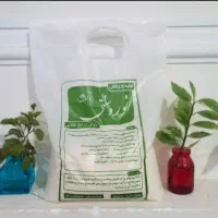 نوره آنلاین|آرایشی، بهداشتی، درمانی|شیراز, شهرک کوشکک|دیوار