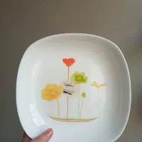 سرویس آرکوپال ۱۸نفره