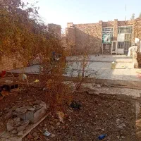 خانه اجاره همکف|اجارهٔ خانه و ویلا|رفسنجان, |دیوار