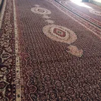 قالی ۱نیو در ۴ متری