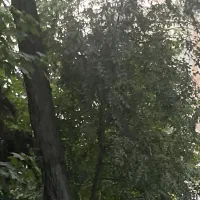 زمین مسکونی