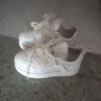 کفش|کیف، کفش، کمربند|تبریز, |دیوار