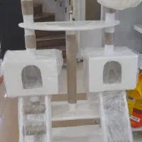 اسکرچر پارادایس