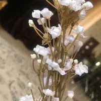 گل مصنوعی ۳۵شاخه وتکی هم فروشنده هستم