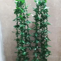 انواع گرینوال وگل مصنوعی مسقیم ازتولیدی|گل مصنوعی|تهران, نازی‌آباد|دیوار