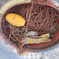 تند کلو زیر آبی|ماهیگیری|کنارک, |دیوار