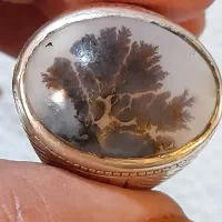 سجر تک درخت ری احمد