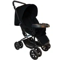 کالسکه ی دلیجان در حد نو