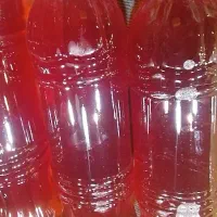 ابلیمو وابغوره شیرازی|خوردنی و آشامیدنی|قزوین, |دیوار