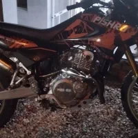 تریل پیشرو گلد