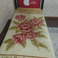 تخت و تشک یک نفره