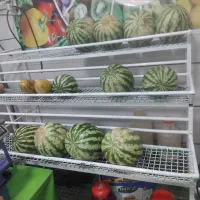 لوازم میوه فروشی کارتخوان|فروشگاه و مغازه|مشهد, شهید علی محمدی|دیوار