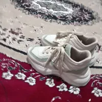 کفش سایز 39|کیف، کفش، کمربند|یاسوج, |دیوار