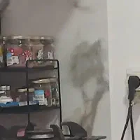 نظافت منزل