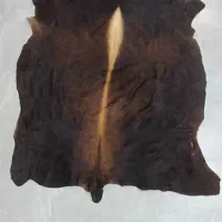 پوست گاو تمیز سالم