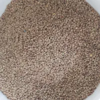 گردو بوانات|خوردنی و آشامیدنی|شیراز, سعدیه جنوبی|دیوار